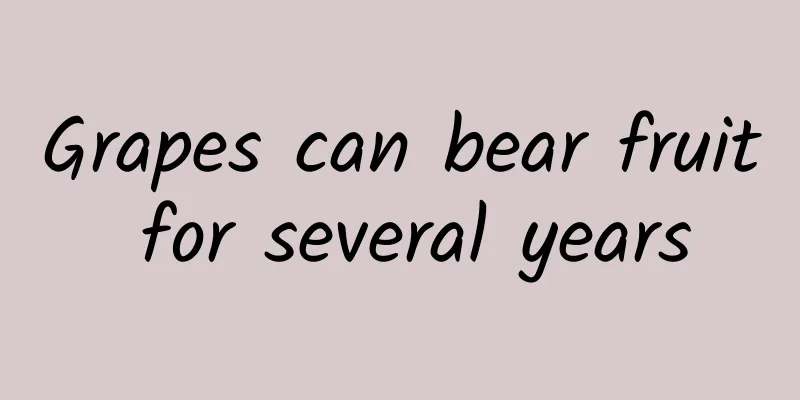 Grapes can bear fruit for several years