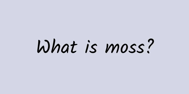 What is moss?
