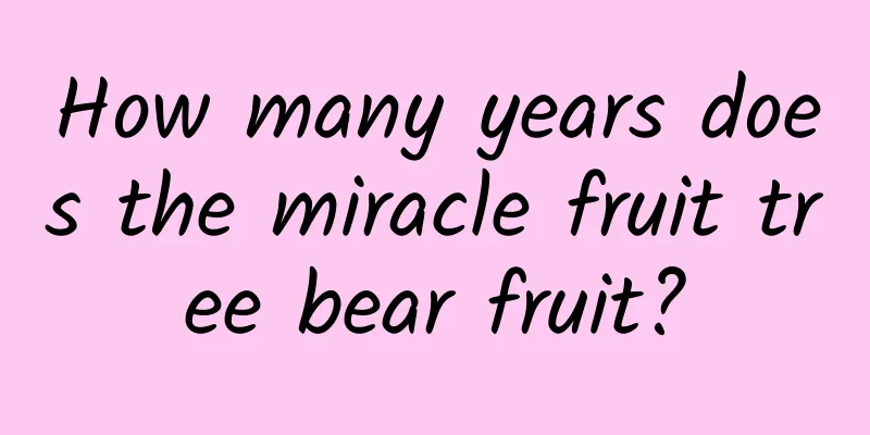 How many years does the miracle fruit tree bear fruit?
