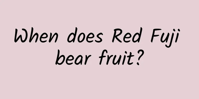 When does Red Fuji bear fruit?