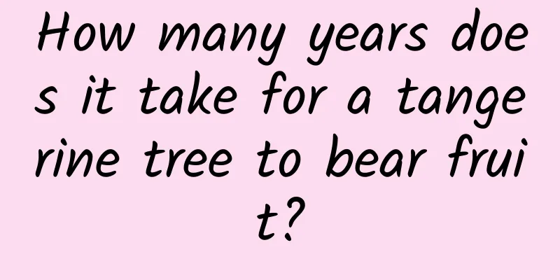 How many years does it take for a tangerine tree to bear fruit?