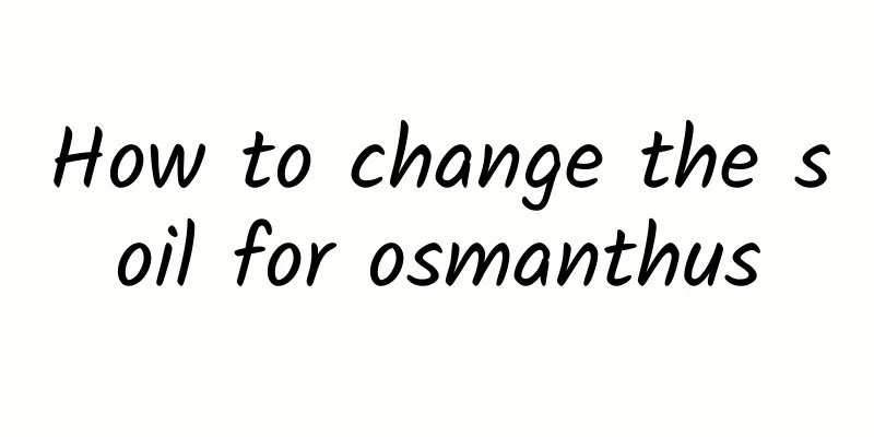 How to change the soil for osmanthus