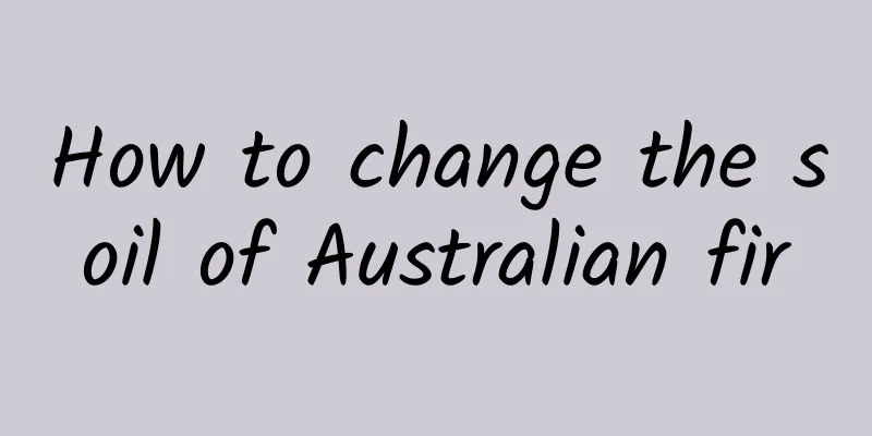 How to change the soil of Australian fir