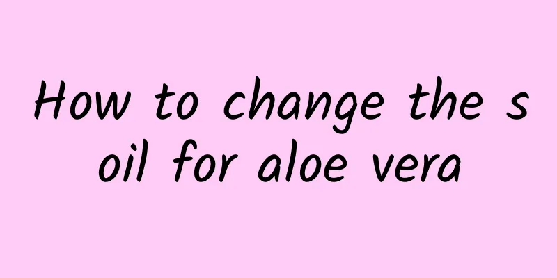 How to change the soil for aloe vera