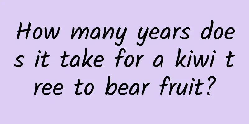 How many years does it take for a kiwi tree to bear fruit?