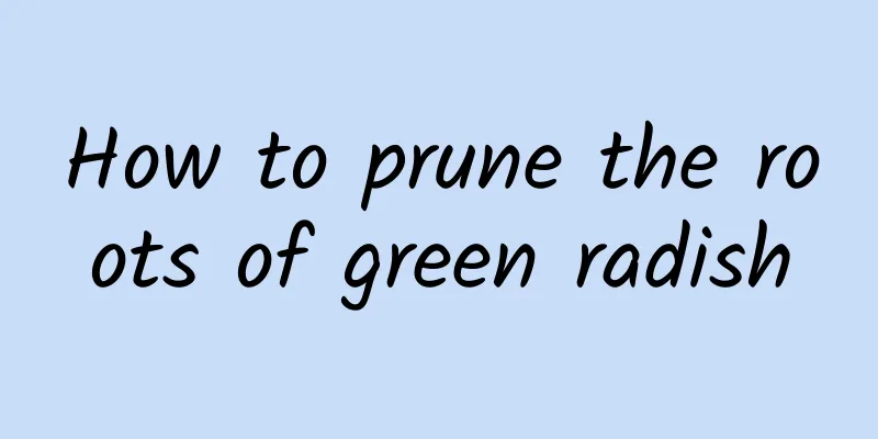 How to prune the roots of green radish