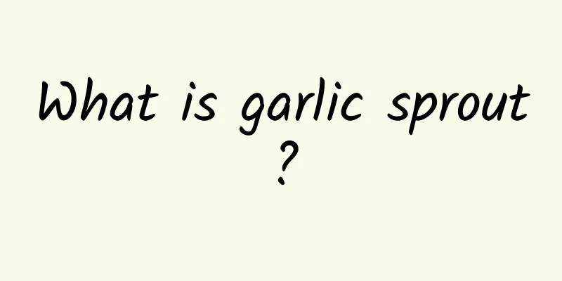What is garlic sprout?