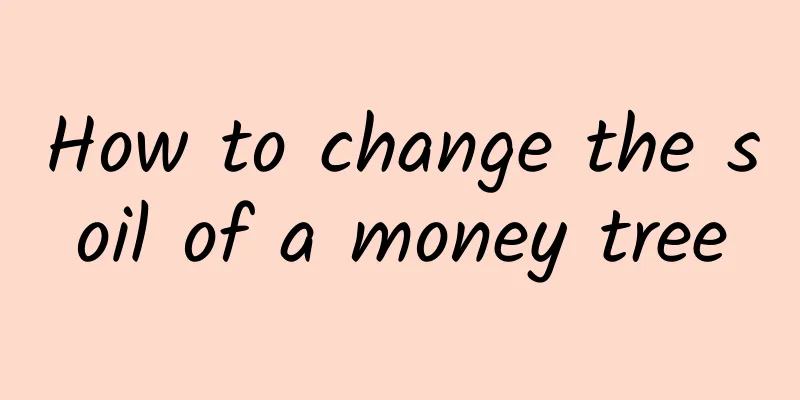 How to change the soil of a money tree