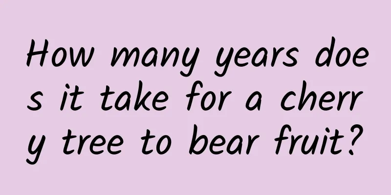How many years does it take for a cherry tree to bear fruit?