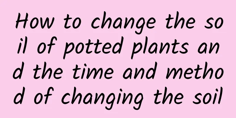 How to change the soil of potted plants and the time and method of changing the soil