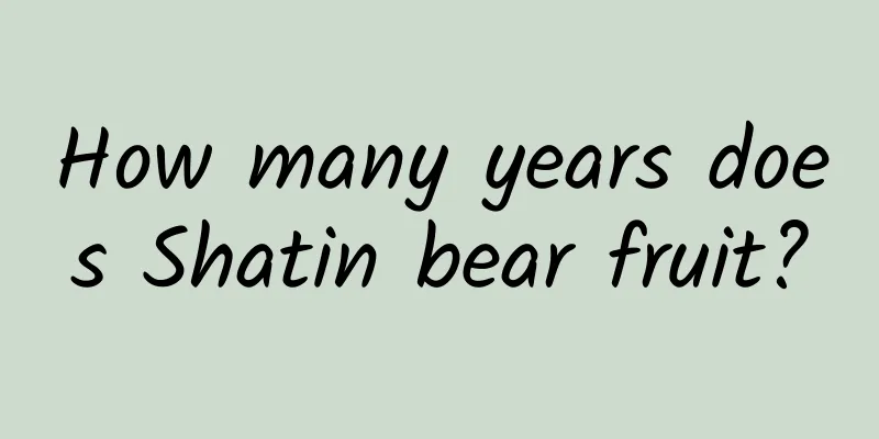 How many years does Shatin bear fruit?