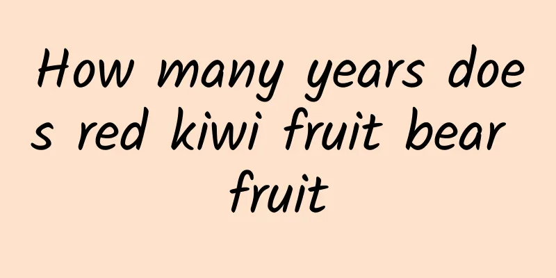 How many years does red kiwi fruit bear fruit