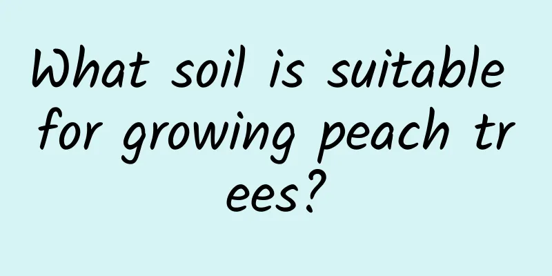 What soil is suitable for growing peach trees?