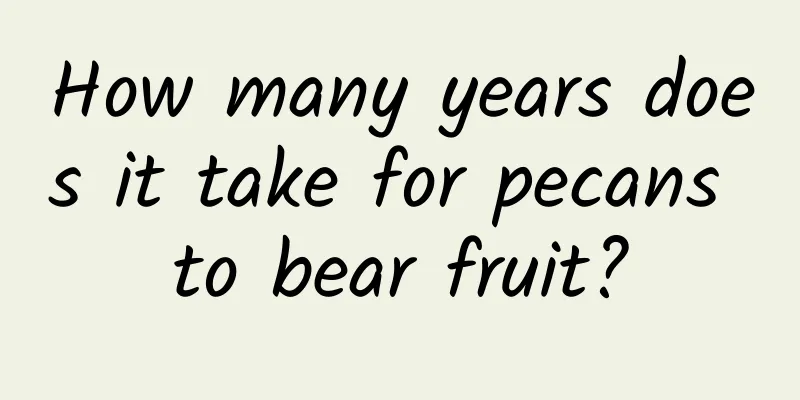 How many years does it take for pecans to bear fruit?
