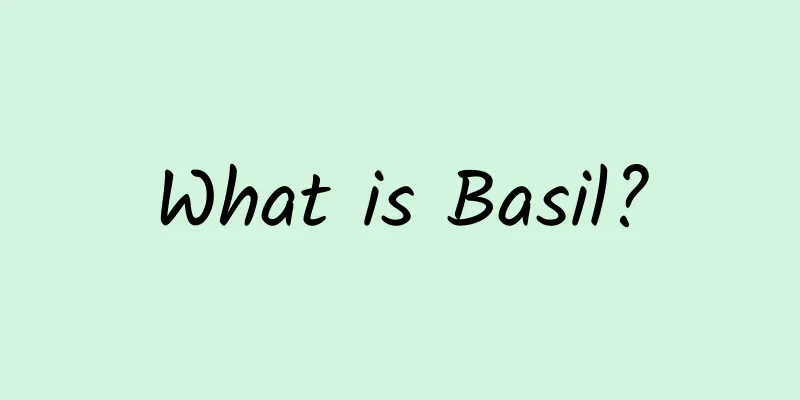 What is Basil?