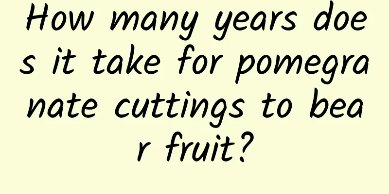 How many years does it take for pomegranate cuttings to bear fruit?