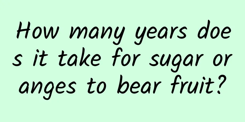 How many years does it take for sugar oranges to bear fruit?