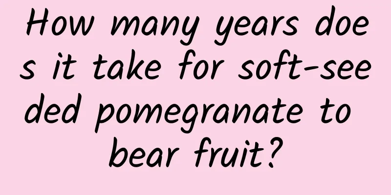 How many years does it take for soft-seeded pomegranate to bear fruit?