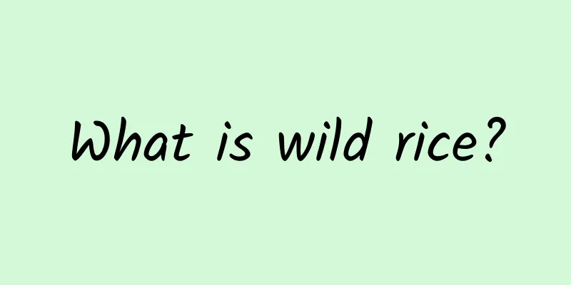 What is wild rice?