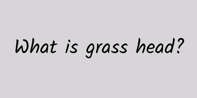 What is grass head?