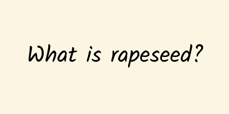 What is rapeseed?