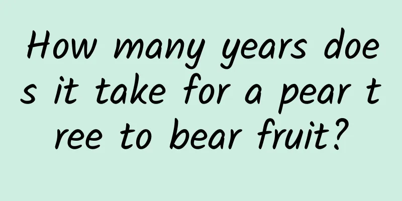 How many years does it take for a pear tree to bear fruit?