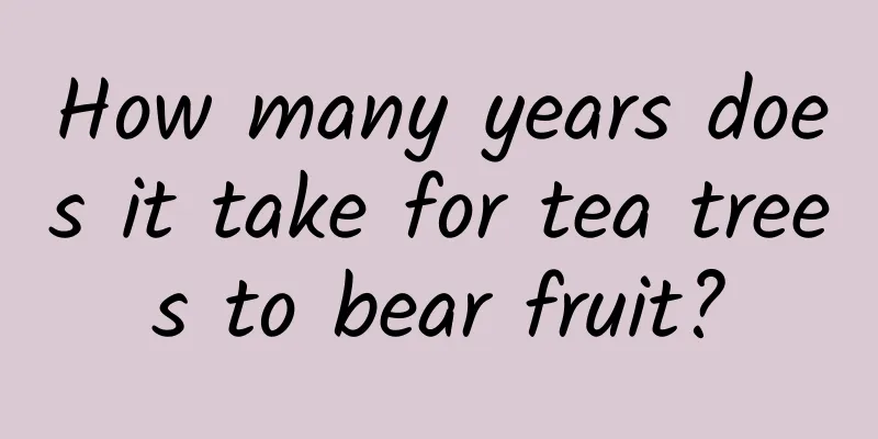 How many years does it take for tea trees to bear fruit?