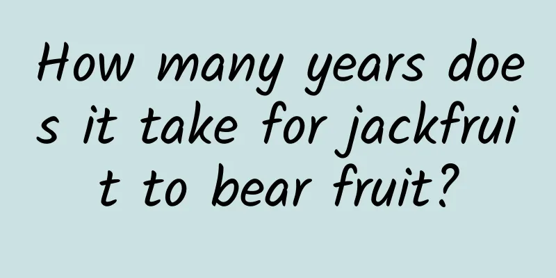 How many years does it take for jackfruit to bear fruit?
