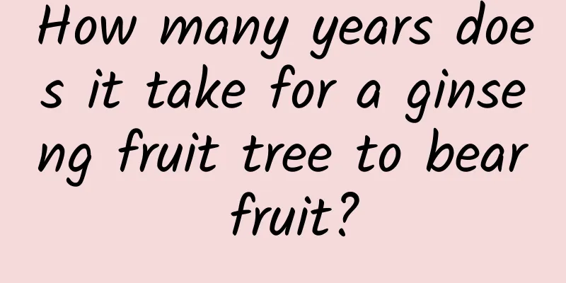 How many years does it take for a ginseng fruit tree to bear fruit?