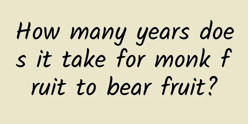 How many years does it take for monk fruit to bear fruit?