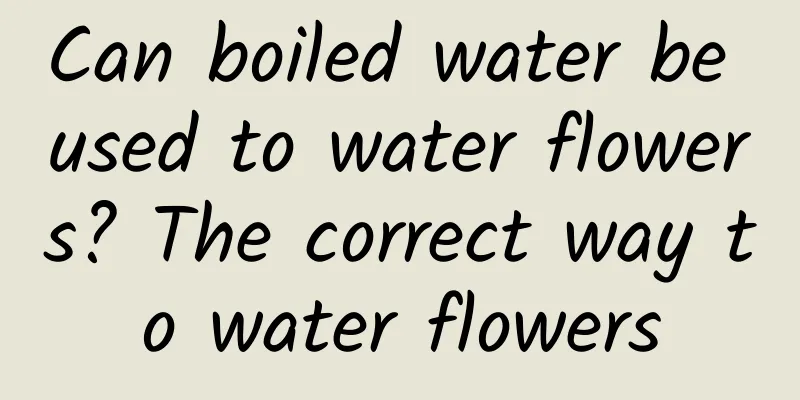 Can boiled water be used to water flowers? The correct way to water flowers