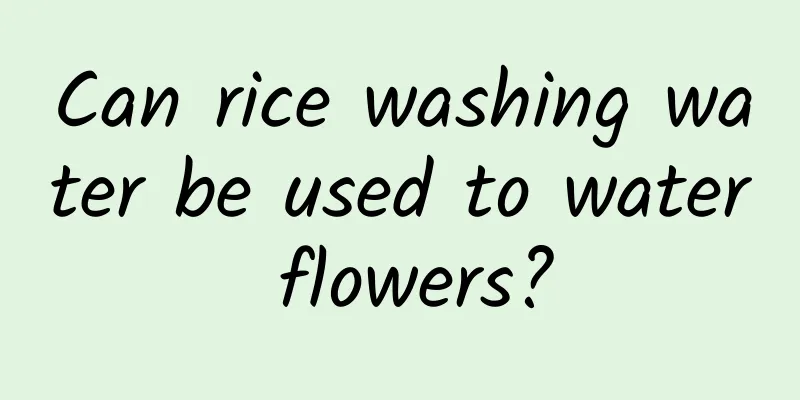 Can rice washing water be used to water flowers?