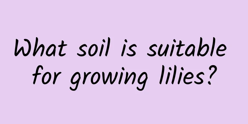 What soil is suitable for growing lilies?
