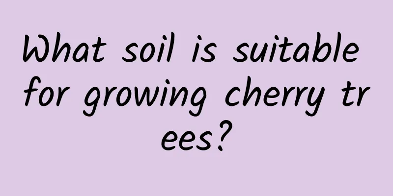 What soil is suitable for growing cherry trees?