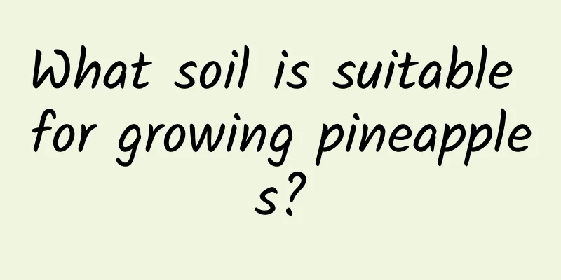 What soil is suitable for growing pineapples?
