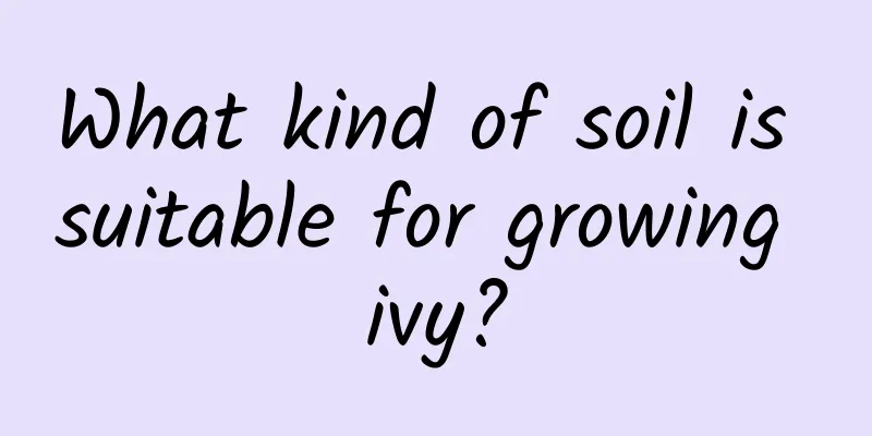 What kind of soil is suitable for growing ivy?
