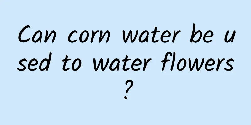Can corn water be used to water flowers?