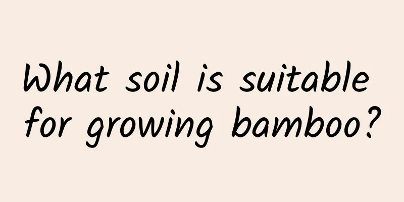 What soil is suitable for growing bamboo?