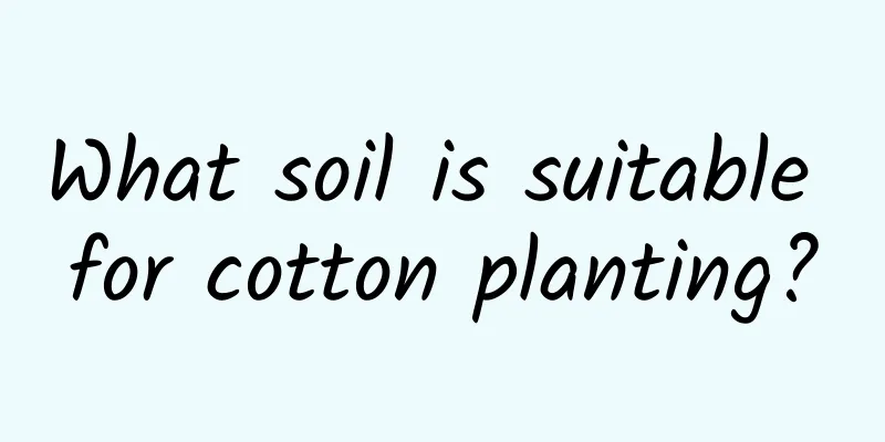 What soil is suitable for cotton planting?