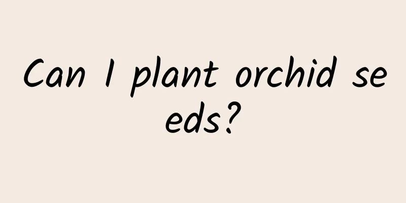 Can I plant orchid seeds?