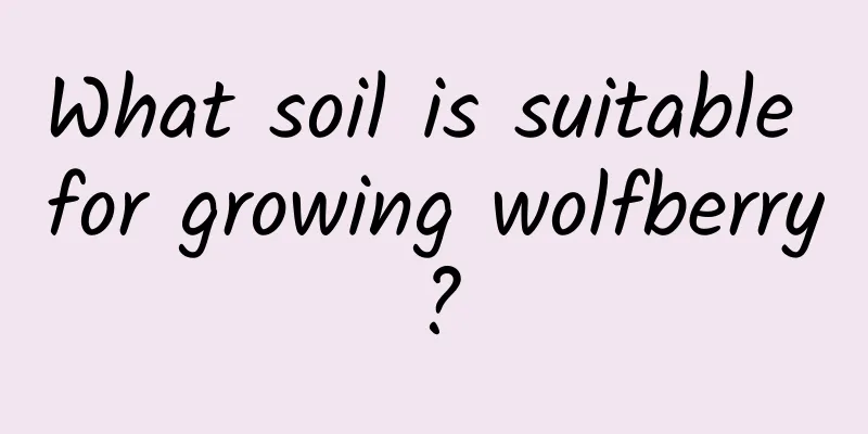 What soil is suitable for growing wolfberry?