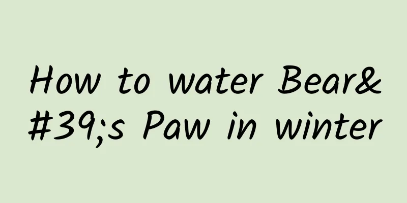 How to water Bear's Paw in winter
