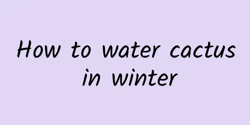 How to water cactus in winter