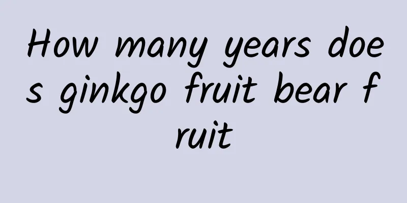 How many years does ginkgo fruit bear fruit