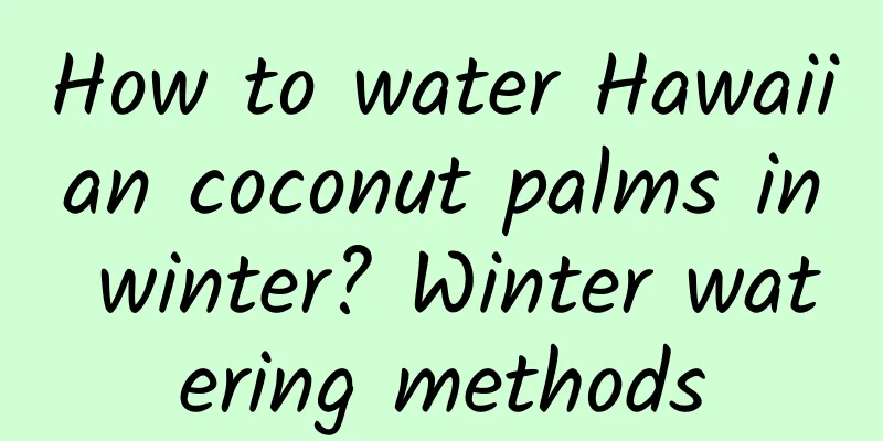 How to water Hawaiian coconut palms in winter? Winter watering methods