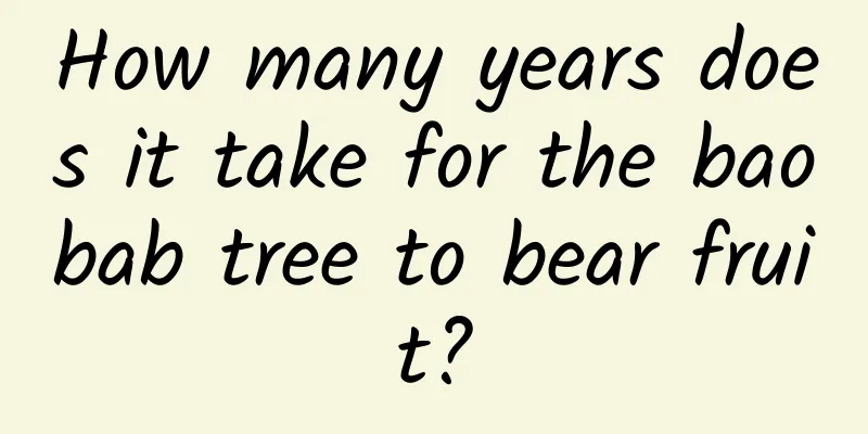 How many years does it take for the baobab tree to bear fruit?
