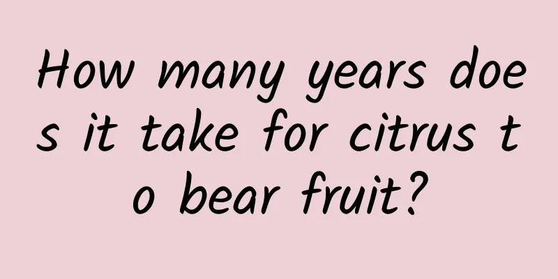 How many years does it take for citrus to bear fruit?