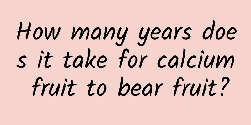 How many years does it take for calcium fruit to bear fruit?