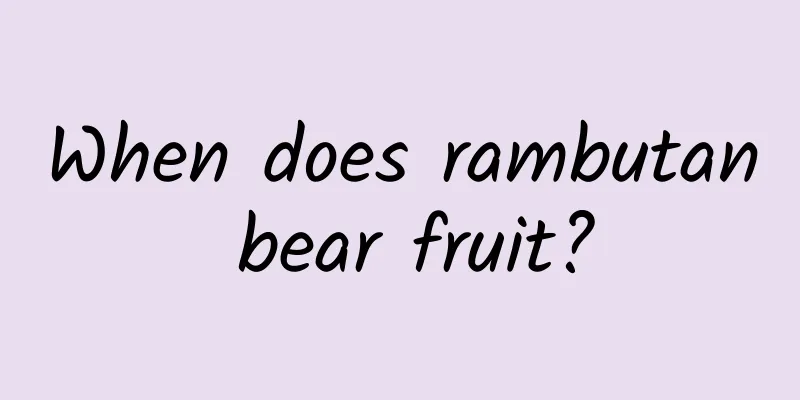 When does rambutan bear fruit?
