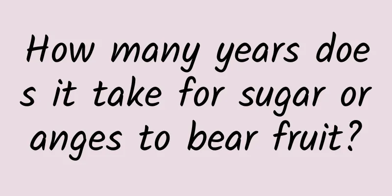 How many years does it take for sugar oranges to bear fruit?